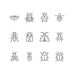 insect icon on white background