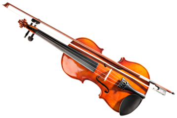 violin isolated 