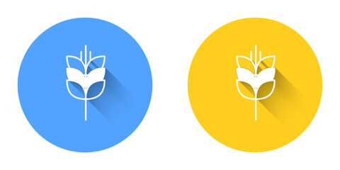 White Cereals set with rice, wheat, corn, oats, rye, barley icon isolated with long shadow background. Ears of wheat bread symbols. Circle button. Vector