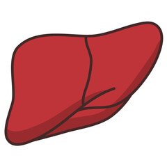 liver human organ icon cartoon