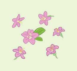 Fototapeta na wymiar Lycium flower with different angles in vector flat illustration