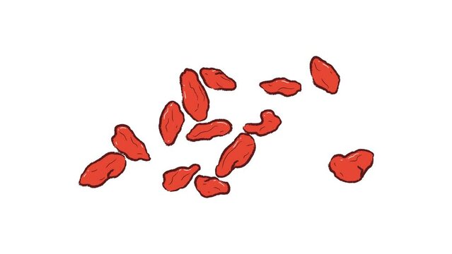 Group of dry Lycium in vector flat illustration