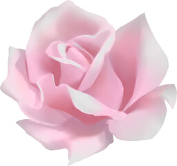 Roses realistics Floral illustrationhand paint digital clipart For design textiles, paper, wallpaper, backdrop