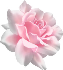 Fototapeta premium Roses realistics Floral illustrationhand paint digital clipart For design textiles, paper, wallpaper, backdrop