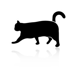 Silhouette of a walking cat, with reflection isolated on white background.