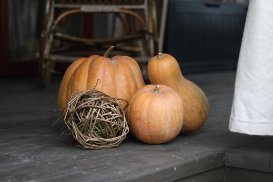 pumpkin on the market
