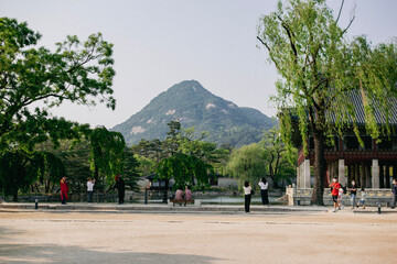 hill and traditional space