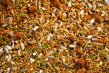 Texture of rice and seed stock combination. 