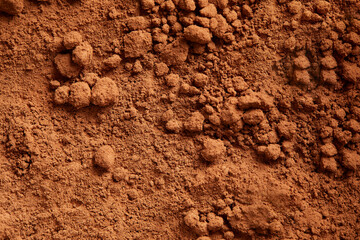 Texture of cocoa in close up.