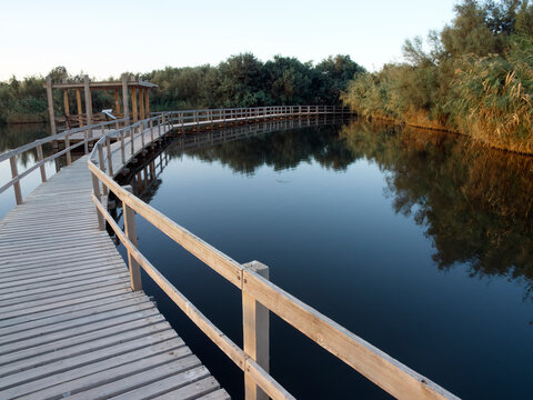Azraq wetland reserve, Jordan