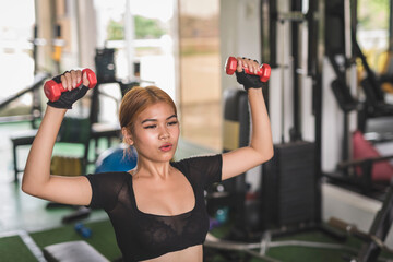 A slim and sexy asian woman does seated dumbbell shoulder presses on a flat bench at the gym....