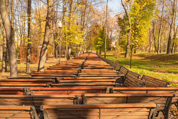 Autumn park with benches