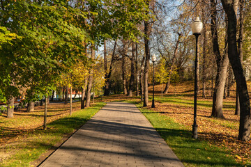 Fototapeta na wymiar Autumn park with benches