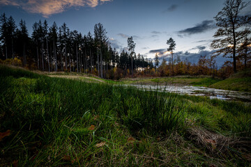 Popołudniowy jesienny widok na staw (okolice Jeleniej Góry) © Oktawian