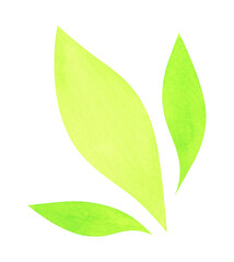 Three green leaves, eco clipart. Watercolor eco illustration of leaves, isolated on transparent background. For eco-design, website design, postcards, stickers, printed products.