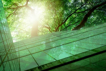 Fotobehang Sustainble green building. Eco-friendly building. Sustainable glass office building with tree for reducing carbon dioxide. Office with green environment. Corporate building reduce CO2. Safety glass. © Artinun