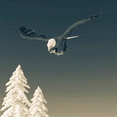 bald eagle is diving on white snow
