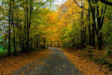 Back road in Autumn in Vermont