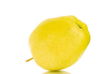 One ripe yellow apple, macro, isolated on white background.