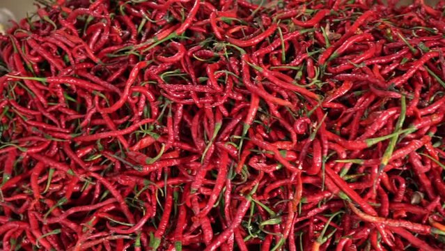 Cabe or cabai merah keriting (red curly chili) is one of the most wanted chili varieties in Indonesia.