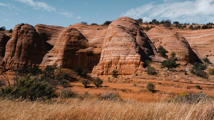Red Rock Park with eroded sandstone cliff and arroyo with dried wild plants growing over red sand, a southwestern arid wilderness landscape - obrazy, fototapety, plakaty