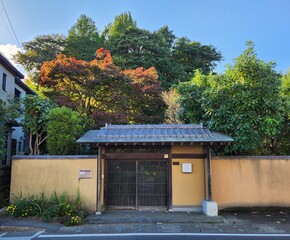 the entrance to a Japanese mansion in autumn