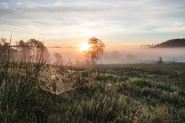 Obraz premium Nebelmorgen