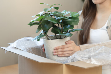 Woman unpacking plant from parcel cardboard box