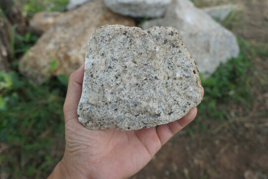 Sample Raw Specimen Of Granite Intrusive Igneous Rock Stone On Geologist's Hand. 