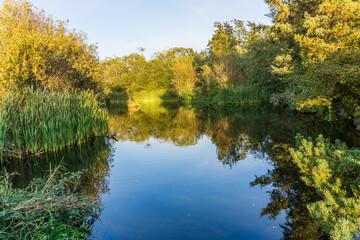 Fototapeta na wymiar Pond At Normandy Park 6