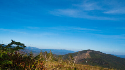 mountains landscape in the carpathians