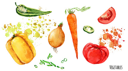 Watercolor ripe vegetables and juicy splashes set. Fresh, healthy, vegetarian, local food. Pepper, pepper bell, carrot, tomato, onion.