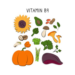 Vitamin B9 folic acid. Groups of healthy products containing vitamins. Set of fruits, vegetables, meats, fish and dairy