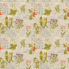 Colored seamless pattern with hand-drawn medicinal herbs and handwritten text Lorem Ipsum. Vector background on the theme of herbal medicine. Retro wallpaper, wrapping paper or fabric - obrazy, fototapety, plakaty