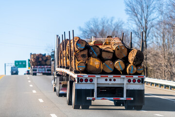 Industrial heavy duty truck trailer hauler delivering wood lumber on highway road in Lynchburg, Virginia rural countryside