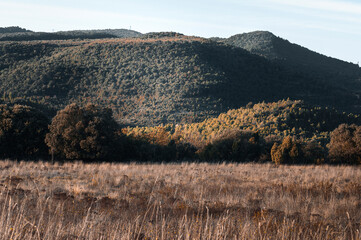 A few hills are bathed in the evening sun.
