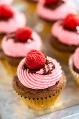 Chocolate raspberry cupcakes