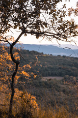 Fototapeta na wymiar Autumn landscape at sunset, Erriberabeitia, Araba - Alava, Basque Country. 