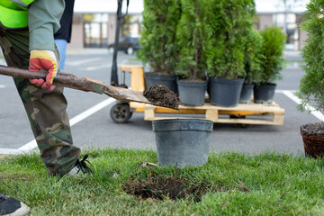 A uniformed worker digs a hole with a shovel to plant an ornamental tree or bush.