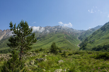 Fototapeta na wymiar Beautiful landscape - green mountain slopes with trees and white clouds on a blue sky on a sunny summer day in the Terskol valley in the Elbrus region and copy space
