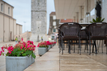 Fototapeta na wymiar Red pelargonium in stone pots on the promenade