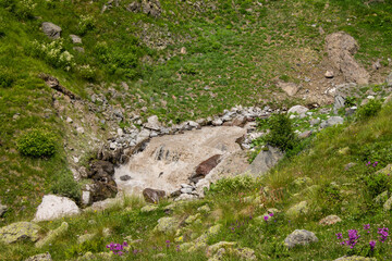 Mountain river Terskol close-up flowing among rocks and grass in Kabardino-Balkaria in Russia on a sunny summer day