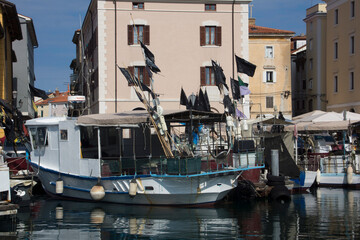 Fototapeta na wymiar Harbour of Piran with fishing boats