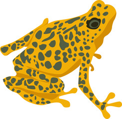 yellow frogs, red frogs, blue frog, dotted frog