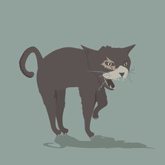 Punk cat arched aggressive