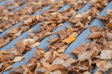 Dry autumn leaves on wavy roof