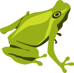 green frog