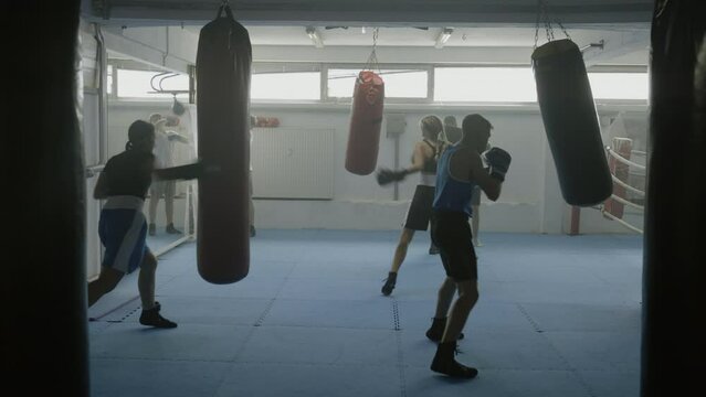 Kids training with punchbags, kids boxing class workout, teenagers group practicing kicks with equipment in gym, wide shot. Boys and girls exercising, long angle view