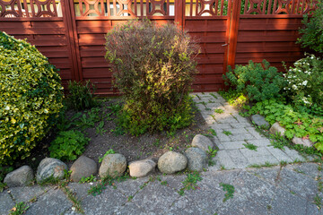 Fototapeta na wymiar A small garden featuring various rocks and bushes creating a natural landscape.