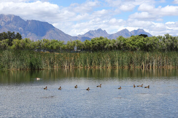 A view at a dam in Worcester, South Africa, where the public can relax and spend the day.